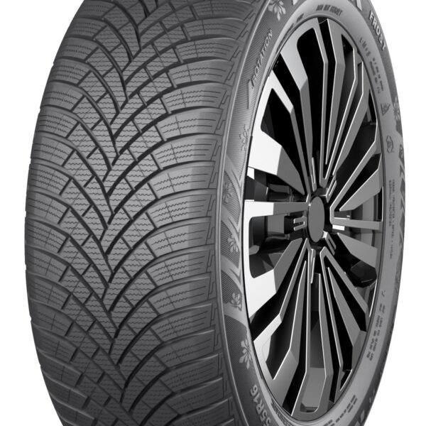 195/50R15 86V XL FROST ROADX