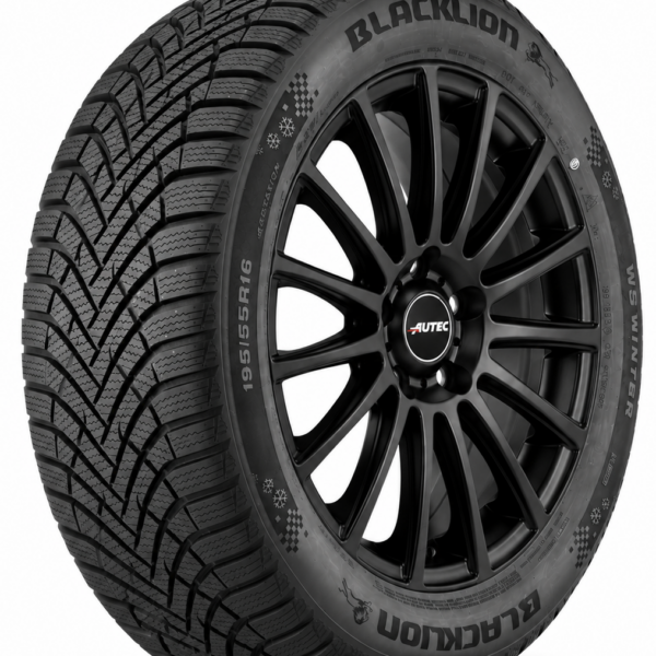 205/60R16 96H XL W5 WINTER BLACKLION